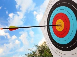 Archery Precision: Casual Arcade Game