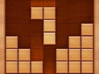 Wood Block Puzzle: Classic Logic Game