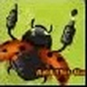 Bionic Bugz Puzzle Game
