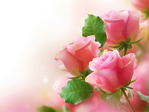 Pink Roses Jigsaw Puzzle