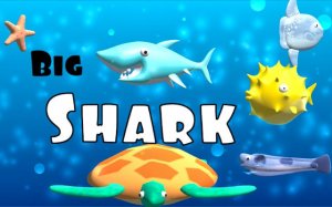 Big Shark: Ocean Predator Online Game