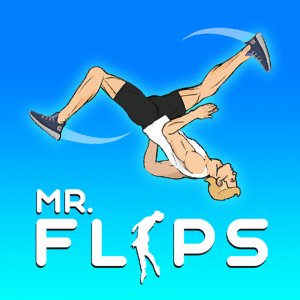 Mr Flip: Ragdoll Stunt Challenge