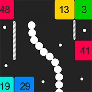 Snake Math Puzzle